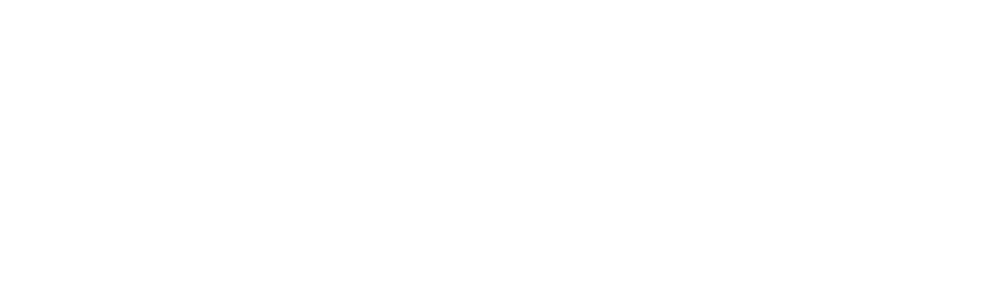 Sawvy Media